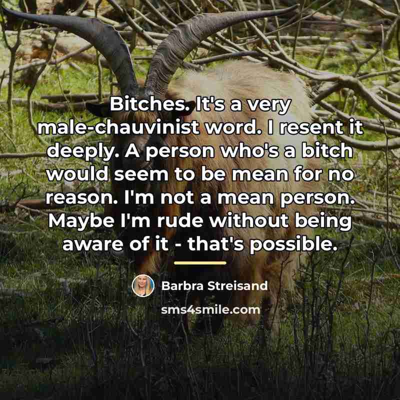 “Bitches. It's a very male-chauvinist word. I resent it deeply.…” quote by Barbra Streisand