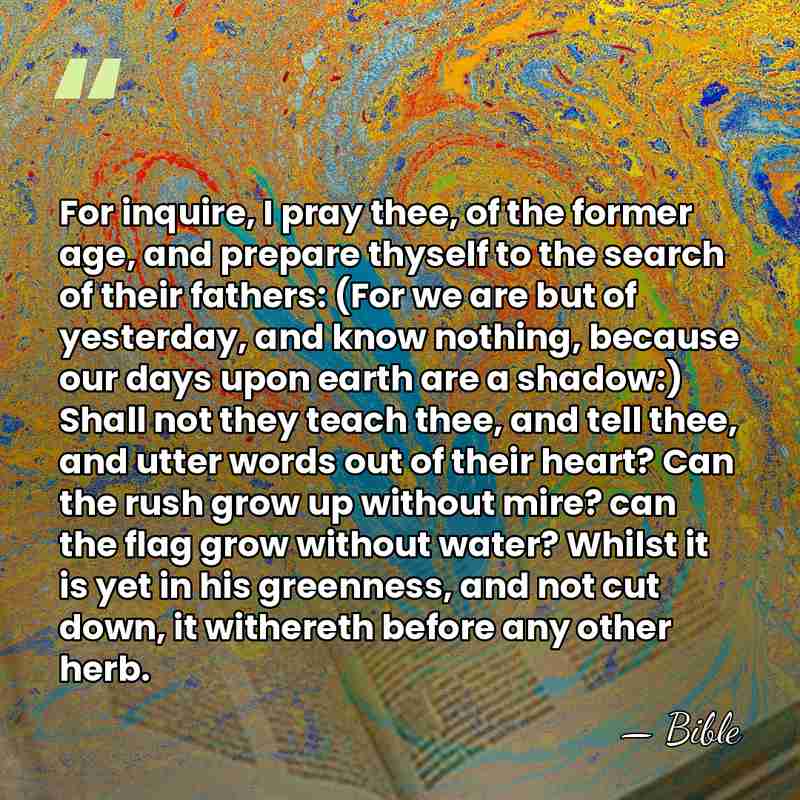 For inquire, I pray thee, of the former age, and prepare thyself&hellip; - Bible