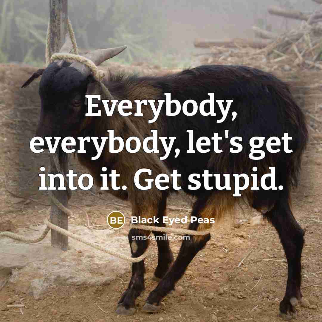 “Everybody, everybody, let's get into it. Get stupid.…” quote by Black Eyed Peas