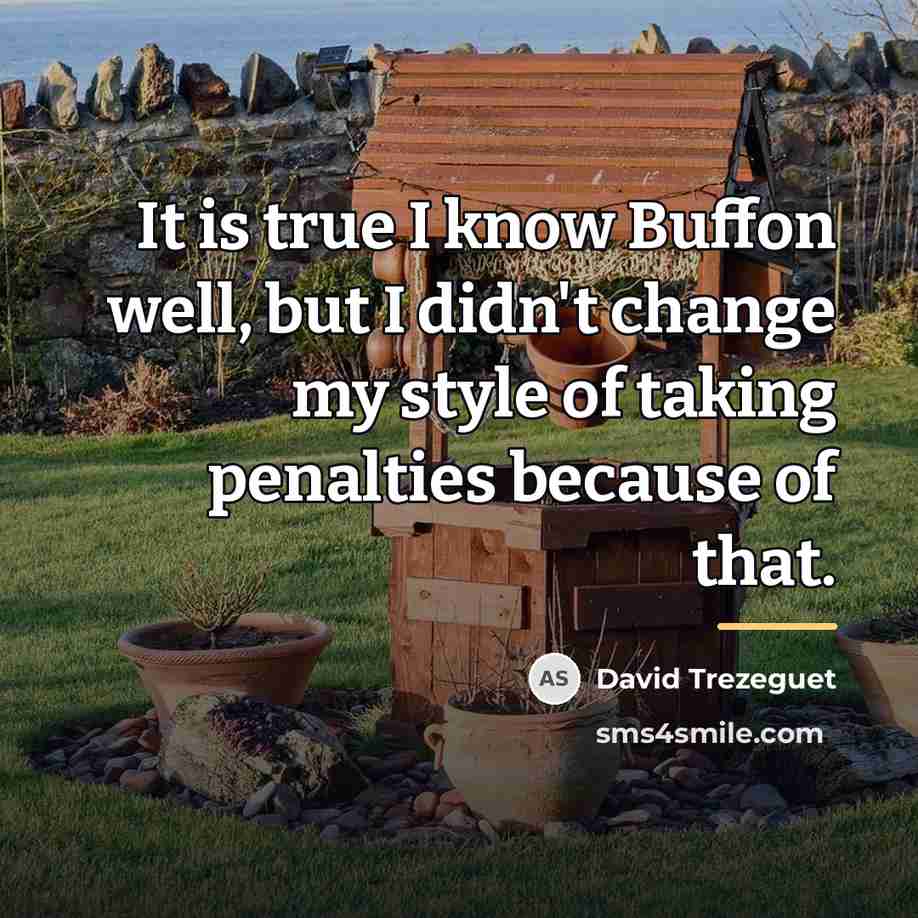 “It is true I know Buffon well, but I didn't…” quote by David Trezeguet