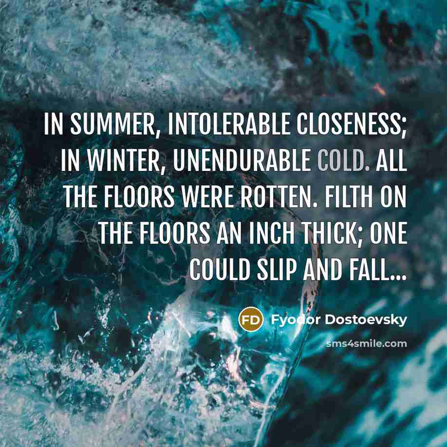 “In summer, intolerable closeness; in winter, unendurable cold. All the…” quote by Fyodor Dostoevsky