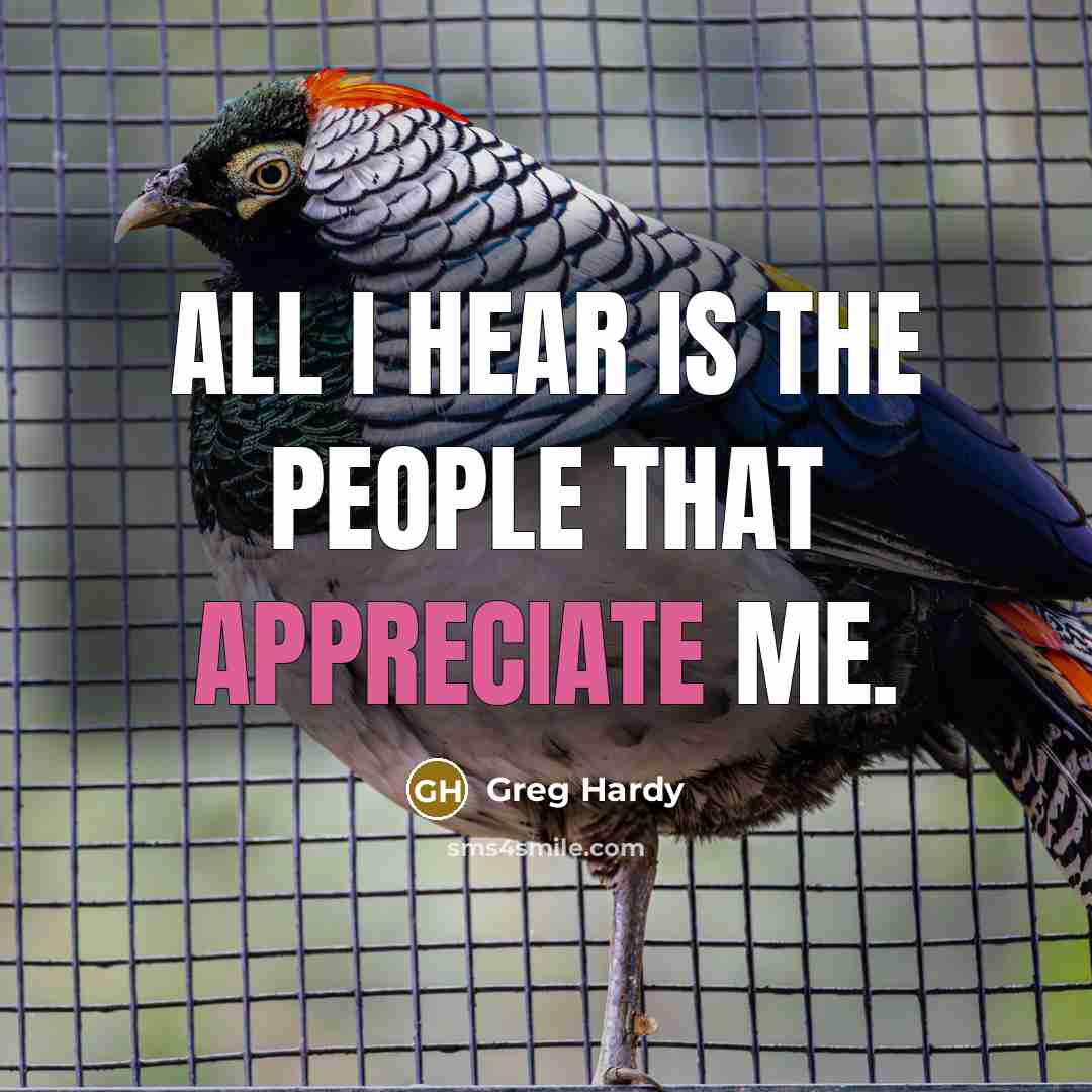 “All I hear is the people that appreciate me.…” quote by Greg Hardy