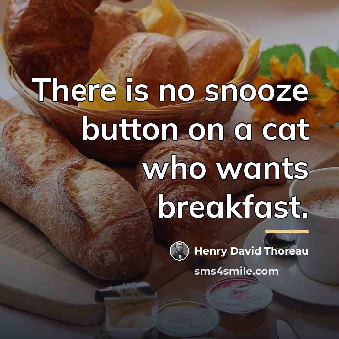 “There is no snooze button on a cat who wants…” quote by Henry David Thoreau
