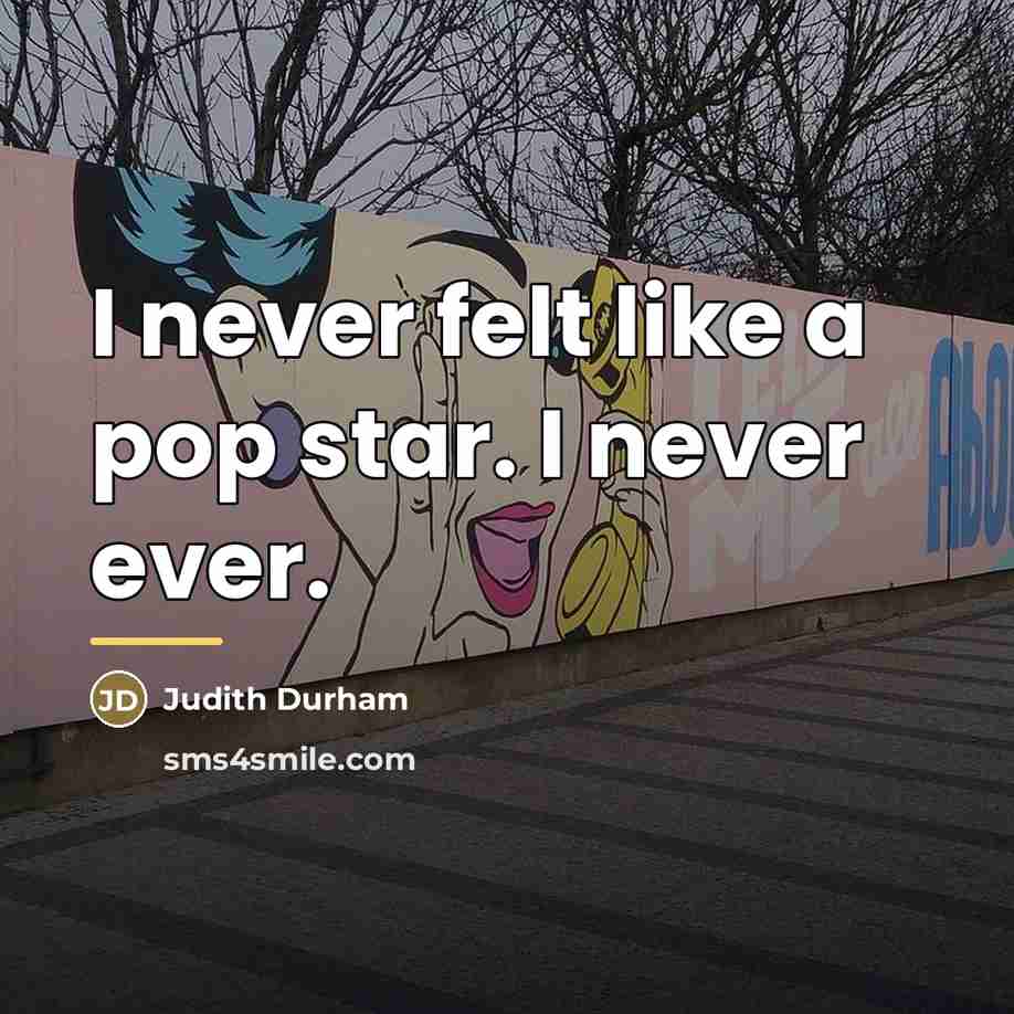 “I never felt like a pop star. I never ever.…” quote by Judith Durham
