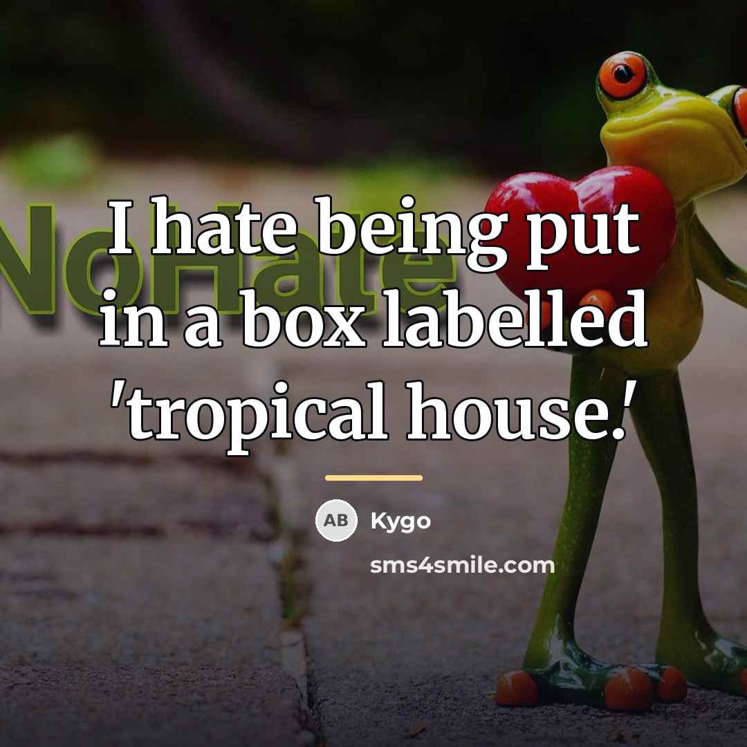 “I hate being put in a box labelled 'tropical house.'…” quote by Kygo
