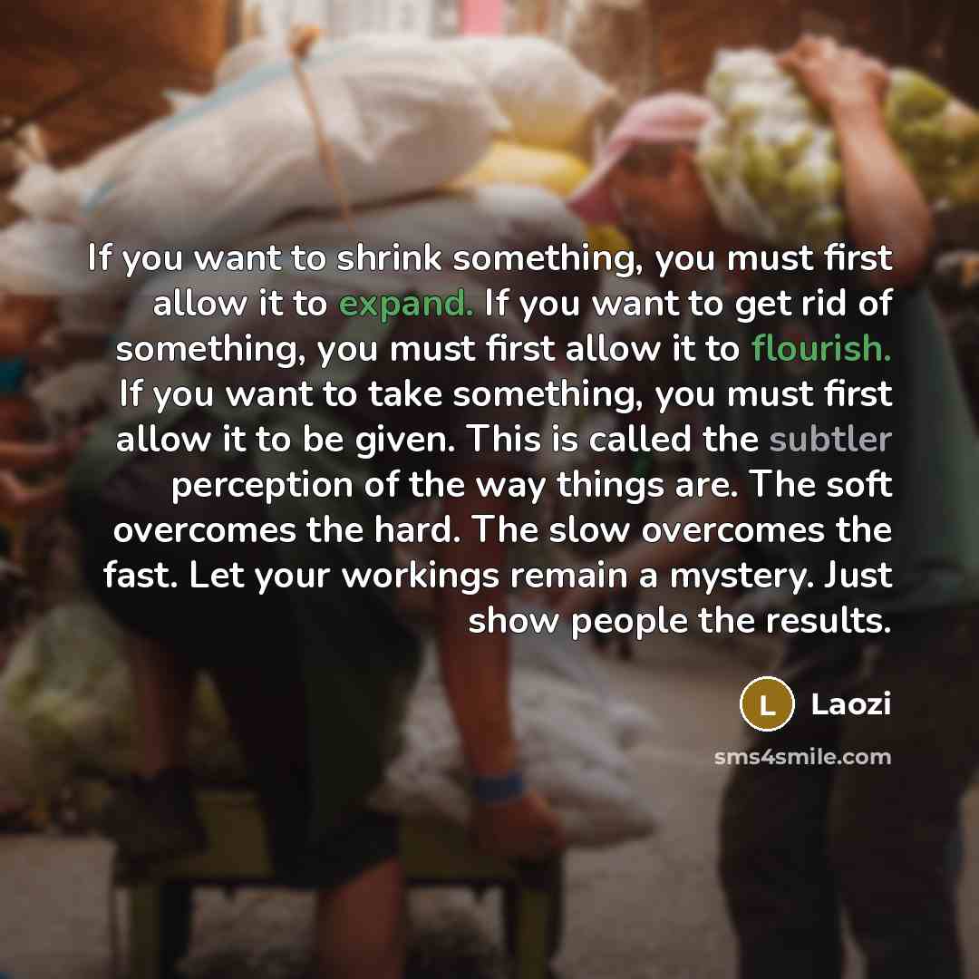 “If you want to shrink something, you must first allow…” quote by Laozi