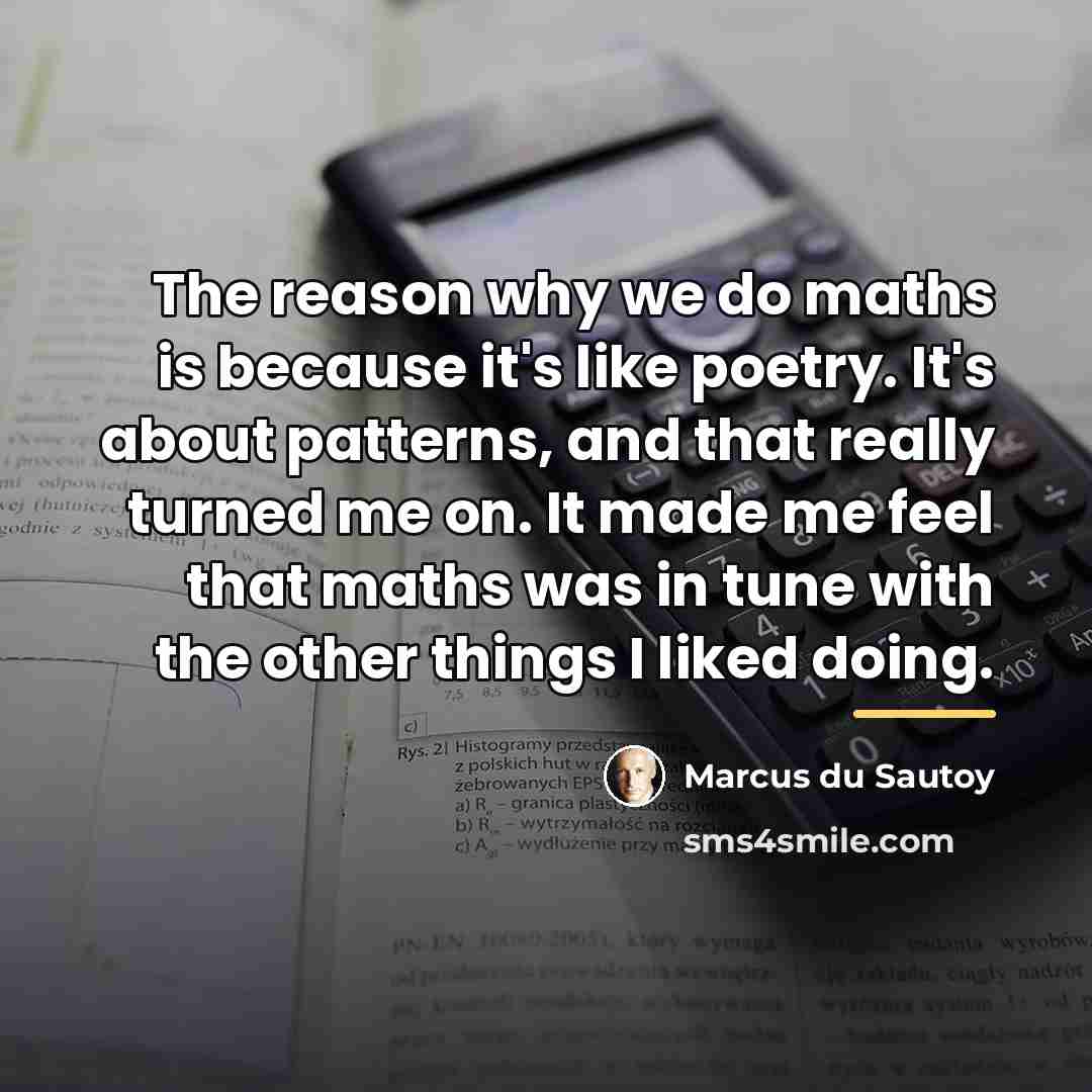 “The reason why we do maths is because it's like…” quote by Marcus du Sautoy