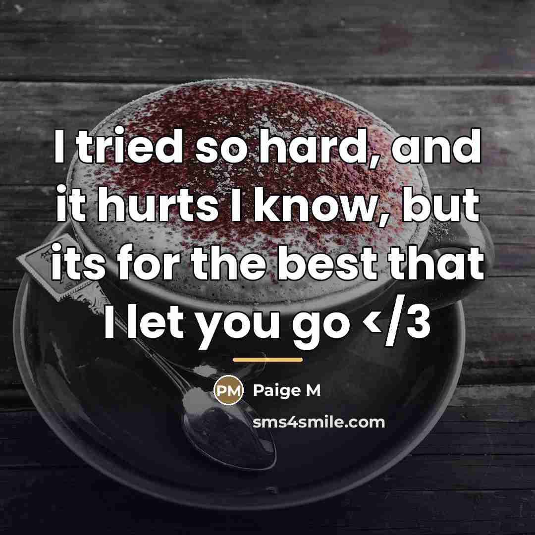 “I tried so hard, and it hurts I know, but…” quote by Paige M