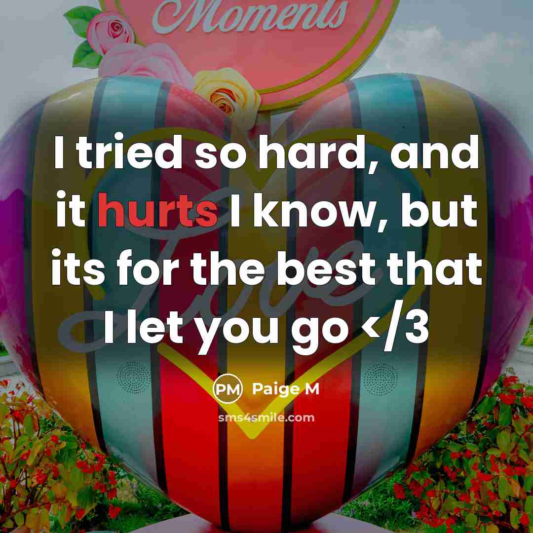 “I tried so hard, and it hurts I know, but its for the best that I let you go” quote by Paige M