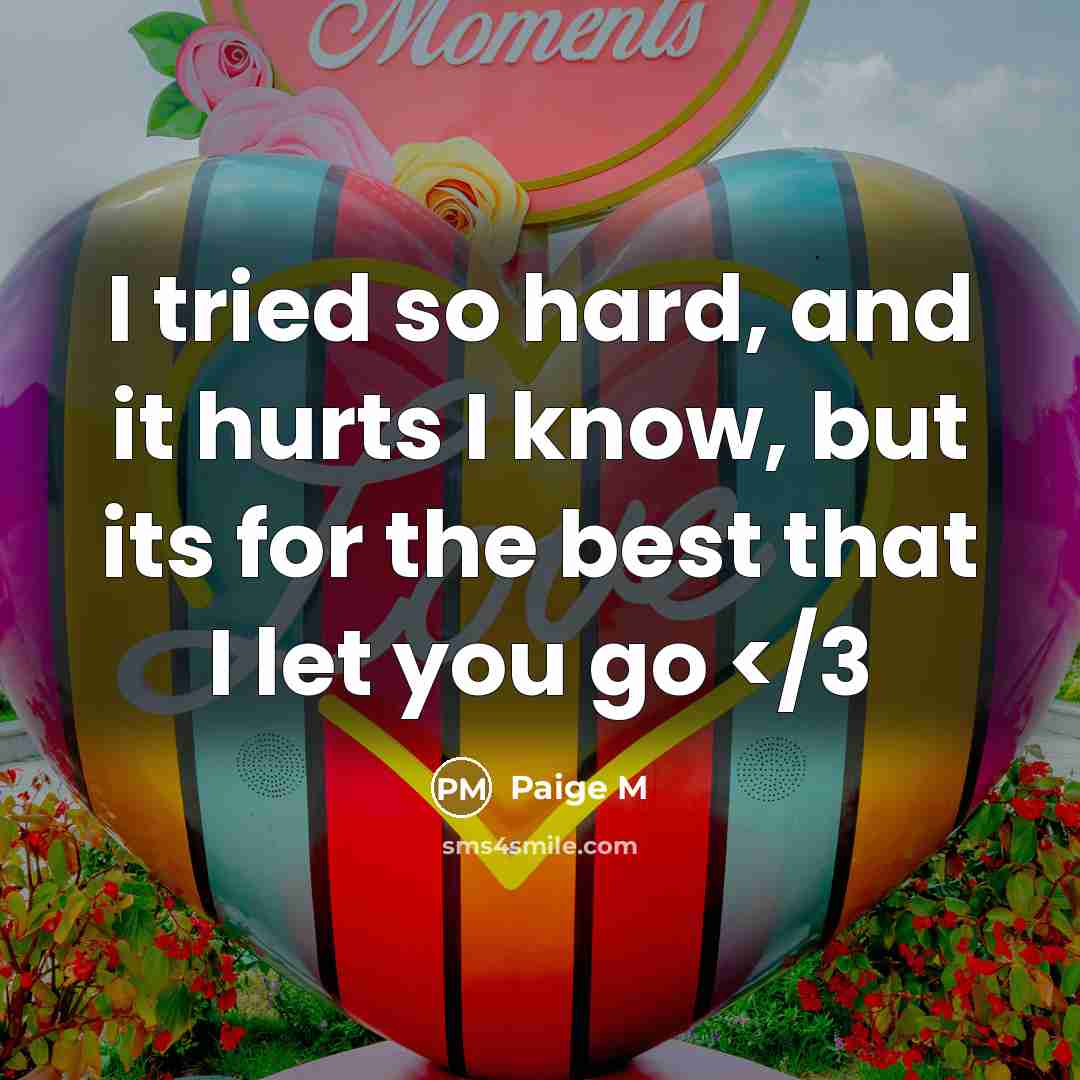“I tried so hard, and it hurts I know, but its for the best that I let you go” quote by Paige M