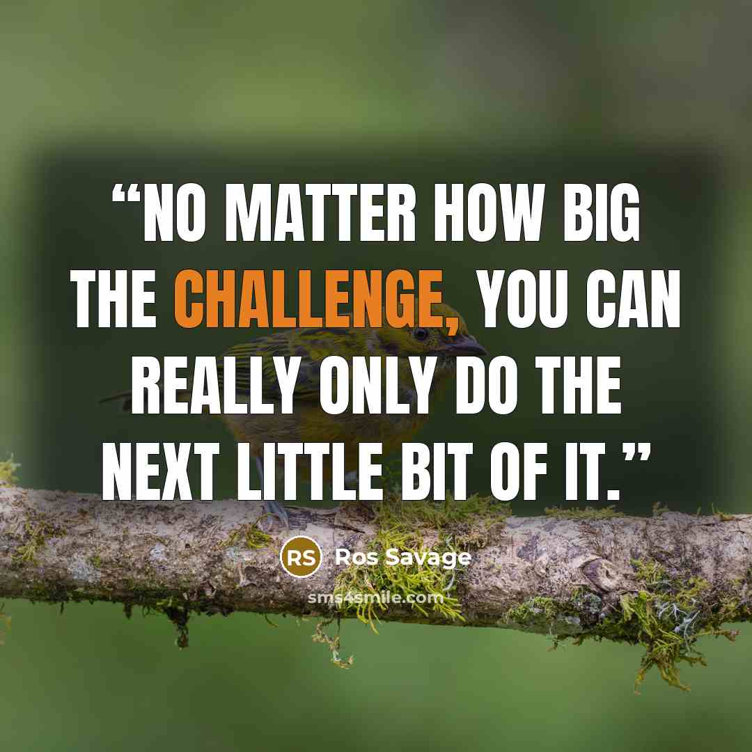 “No matter how big the challenge, you can really only do the next little bit of it.” quote by Ros Savage