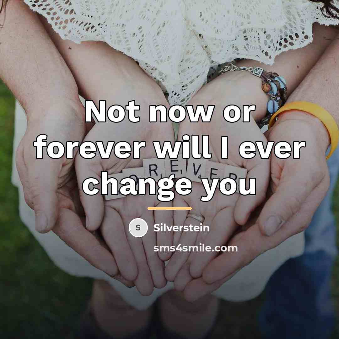 “Not now or forever will I ever change you…” quote by Silverstein