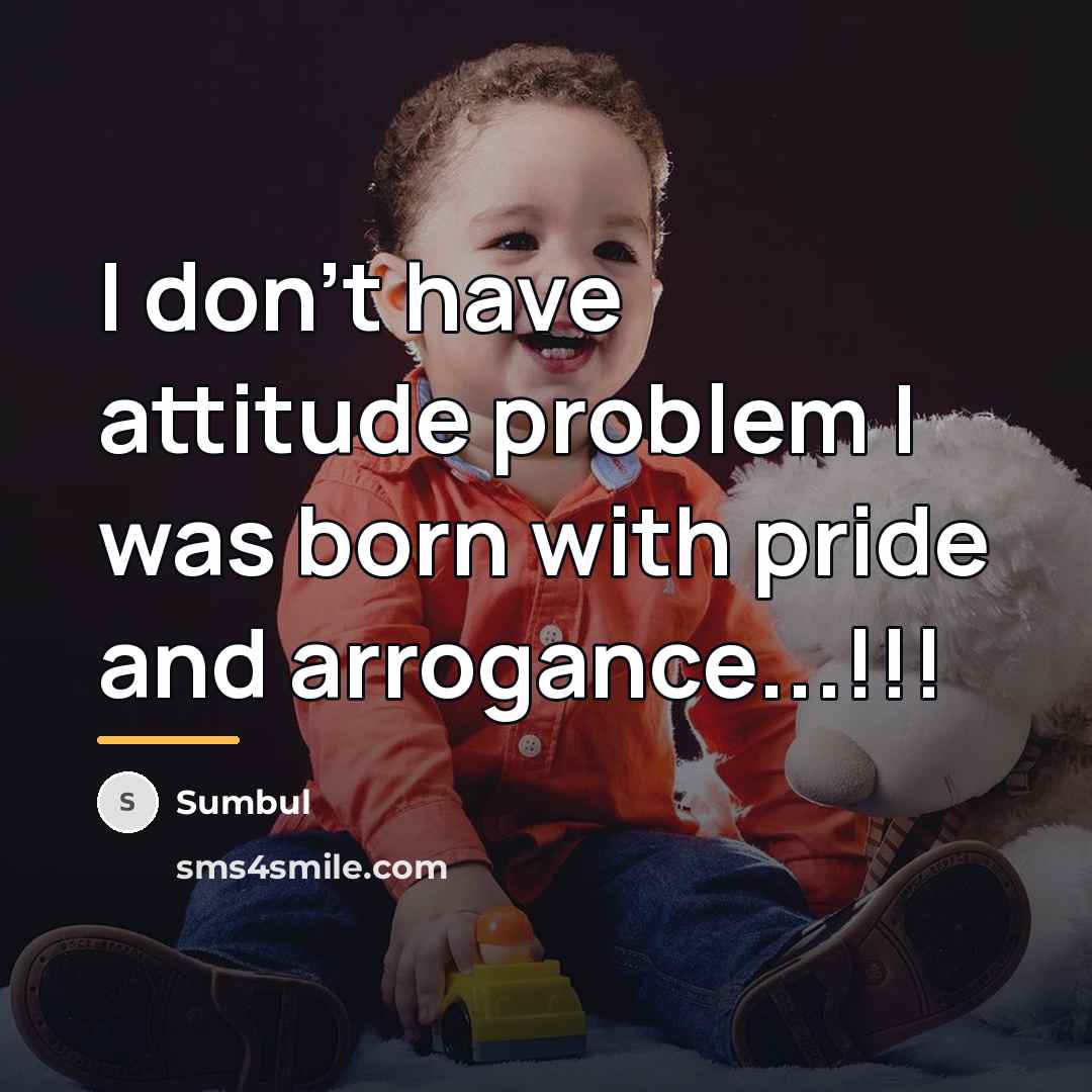 “I don't have attitude problem I was born with pride…” quote by Sumbul