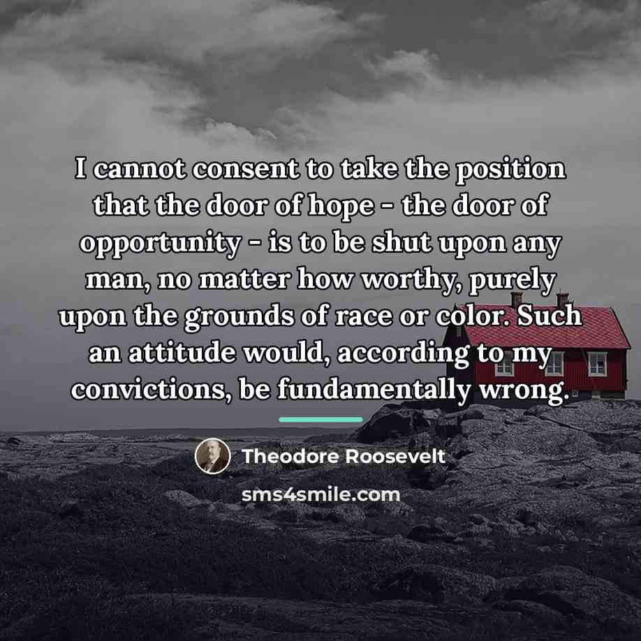 “I cannot consent to take the position that the door…” quote by Theodore Roosevelt