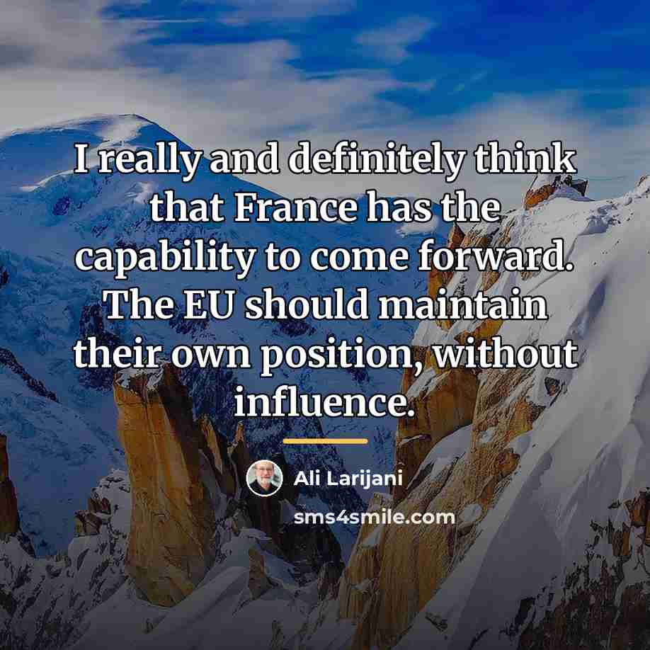 “I really and definitely think that France has the capability…” quote by Ali Larijani