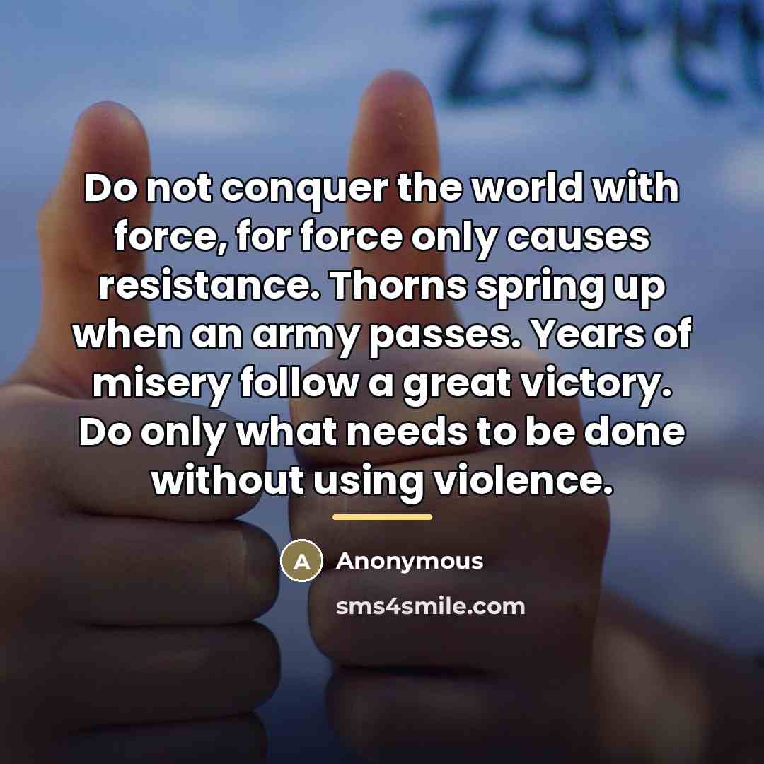 “Do not conquer the world with force, for force only…” quote by Anonymous