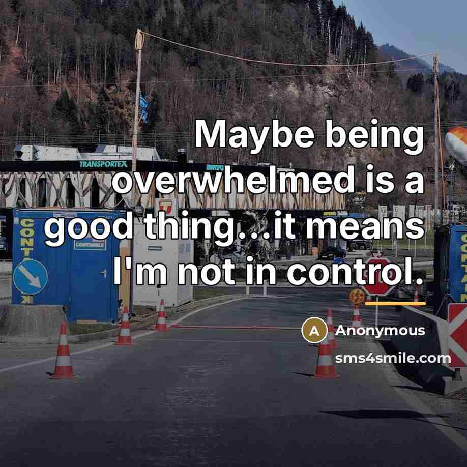 “Maybe being overwhelmed is a good thing...it means I'm not…” quote by Anonymous