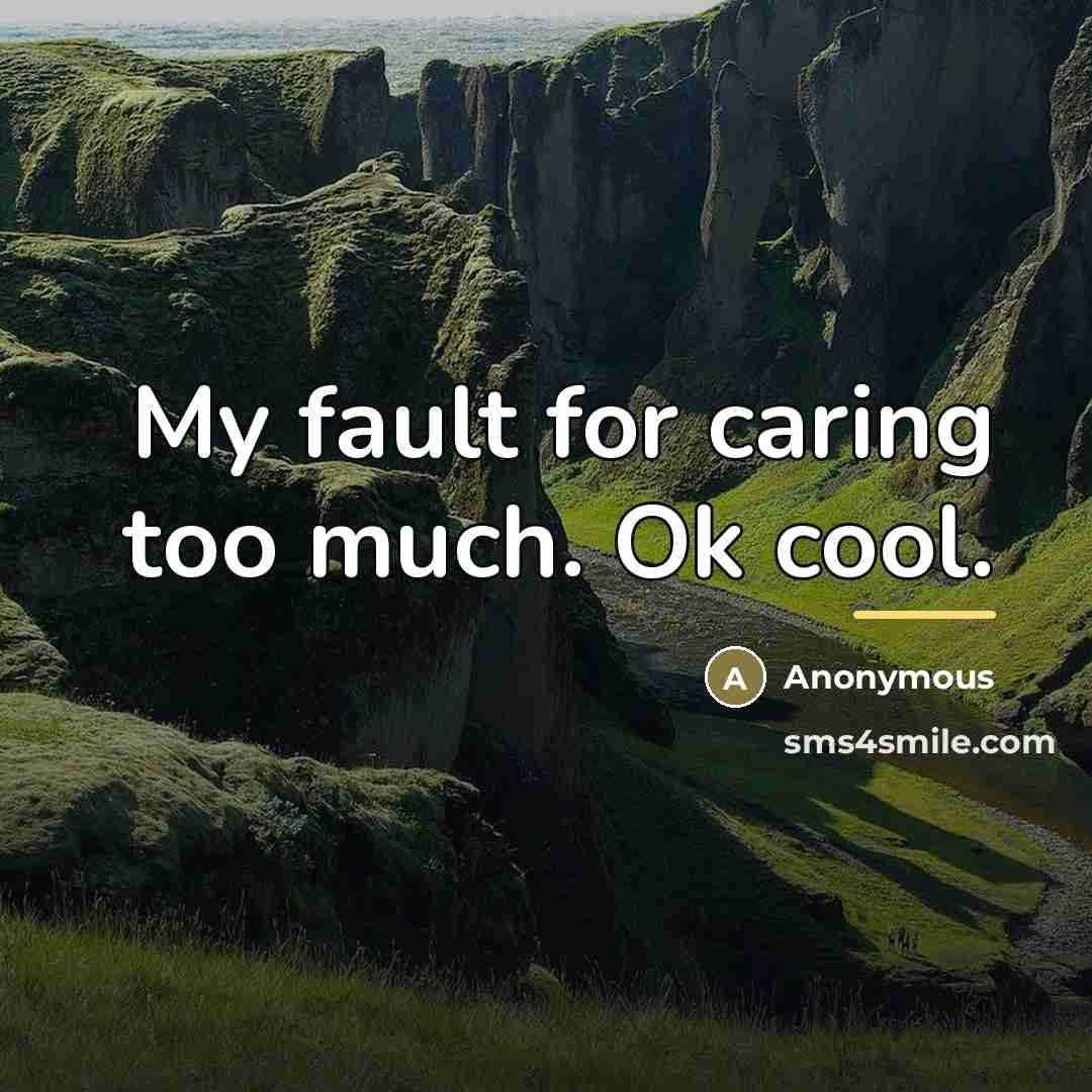 “My fault for caring too much. Ok cool.…” quote by Anonymous