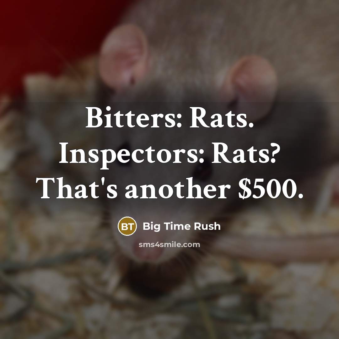 “Bitters: Rats. Inspectors: Rats? That's another $500.…” quote by Big Time Rush