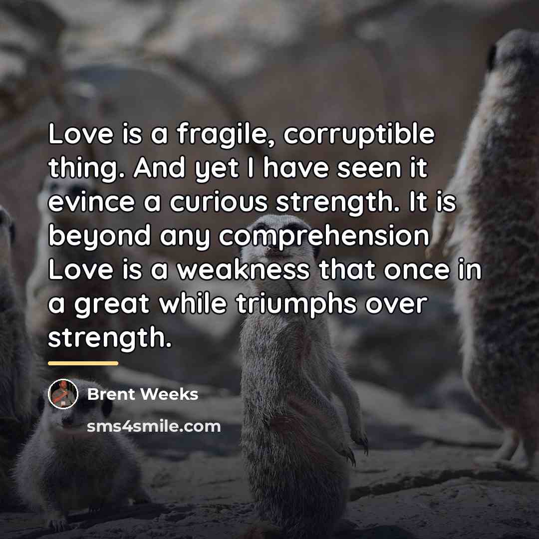 “Love is a fragile, corruptible thing. And yet I have…” quote by Brent Weeks