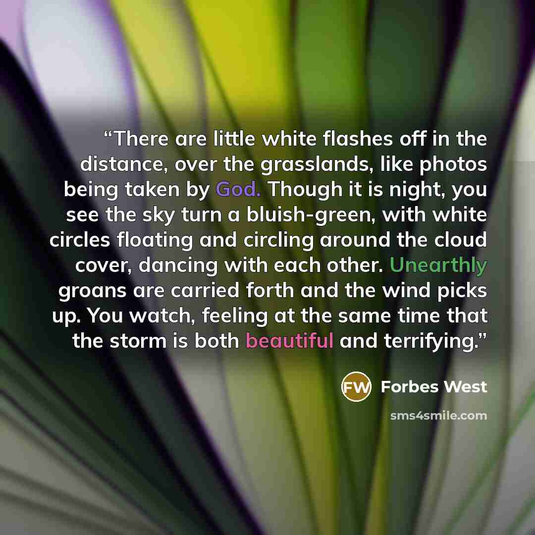 “There are little white flashes off in the distance, over the grasslands, like photos being taken by God. Though it is night, you see the sky turn a bluish-green, with white circles floating and circling around the cloud cover, dancing with each other. Unearthly groans are carried forth and the…” quote by Forbes West