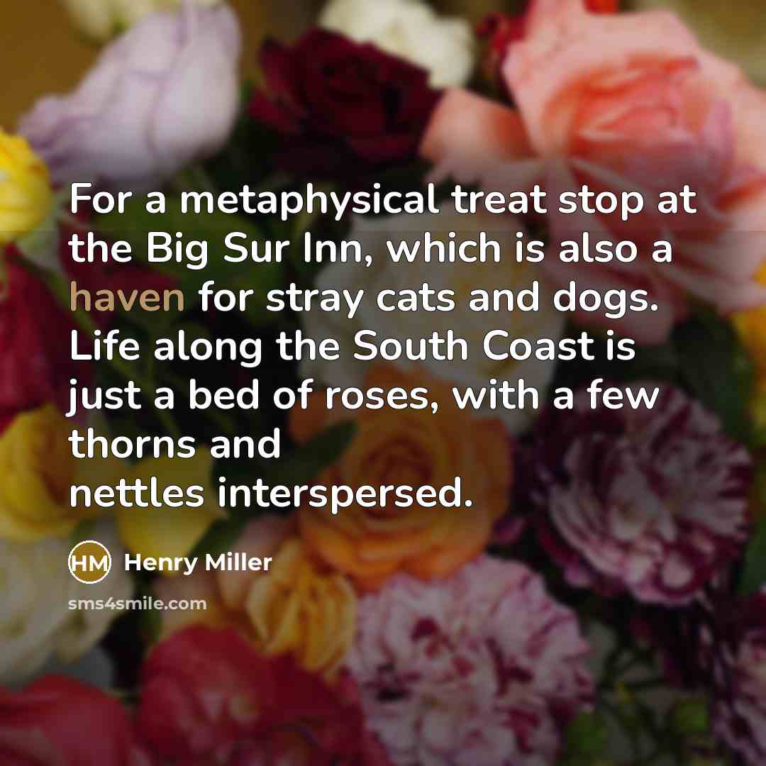 “For a metaphysical treat stop at the Big Sur Inn,…” quote by Henry Miller