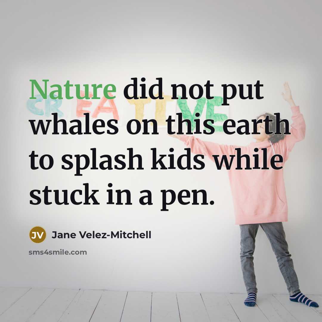 “Nature did not put whales on this earth to splash…” quote by Jane Velez-Mitchell