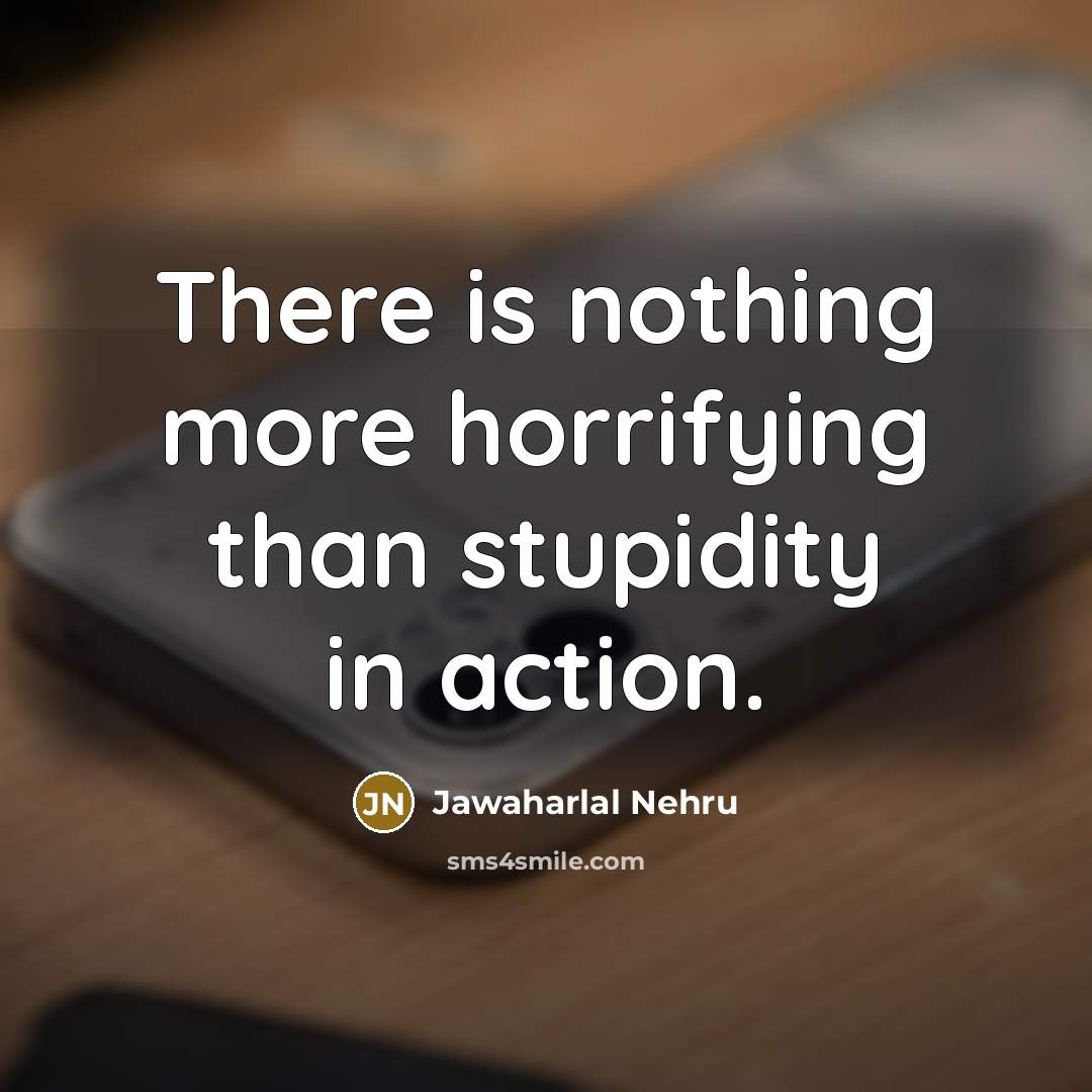 “There is nothing more horrifying than stupidity in action.…” quote by Jawaharlal Nehru