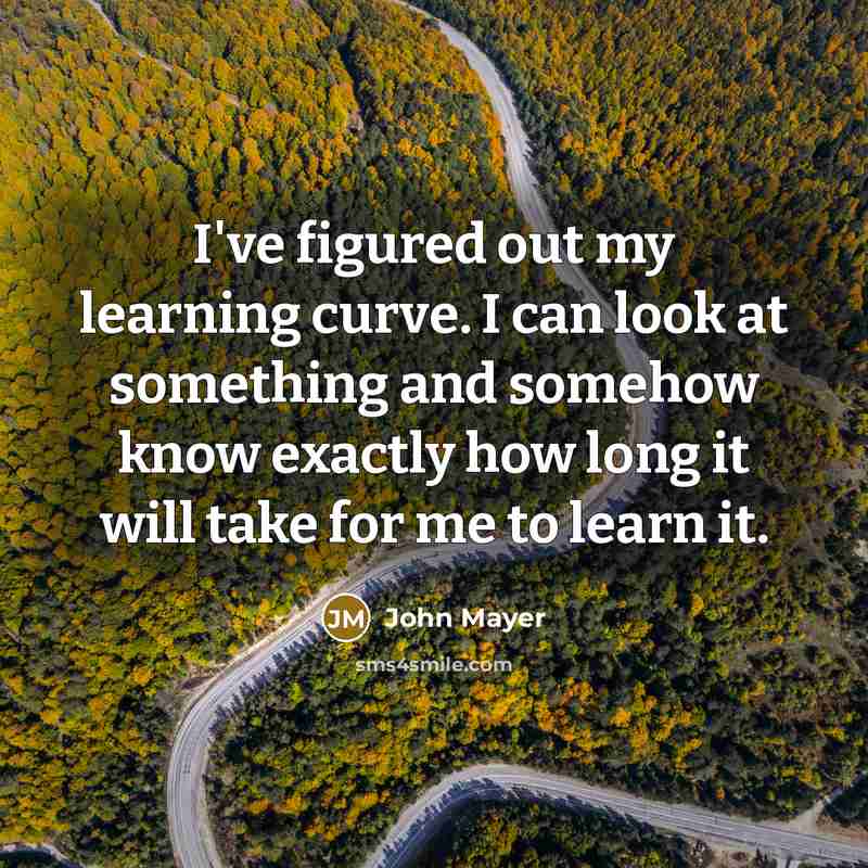 “I've figured out my learning curve. I can look at…” quote by John Mayer