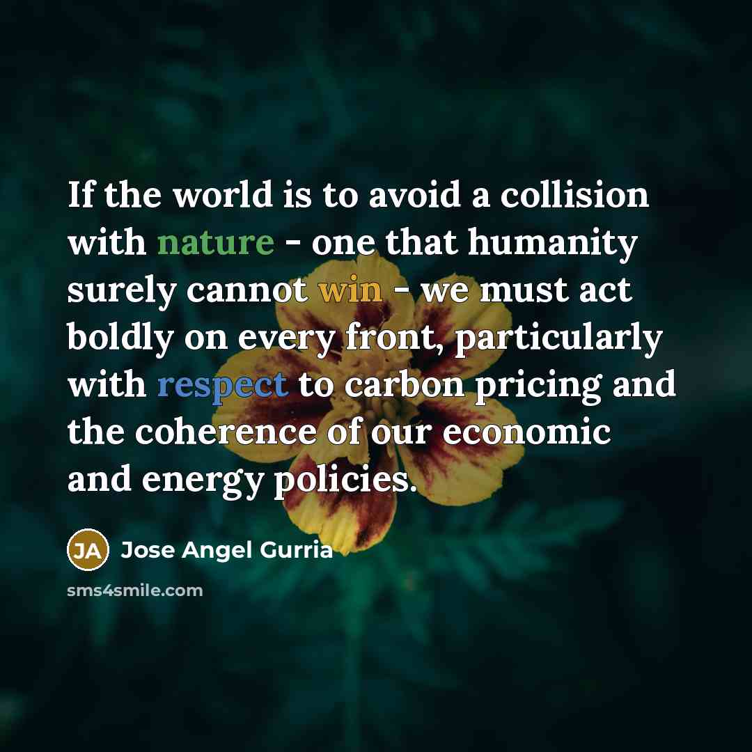 “If the world is to avoid a collision with nature - one that humanity surely cannot win - we must act boldly on every front, particularly with respect to carbon pricing and the coherence of our economic and energy policies.” quote by Jose Angel Gurria