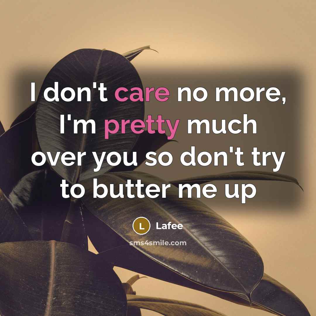 “I don't care no more, I'm pretty much over you so don't try to butter me up” quote by Lafee