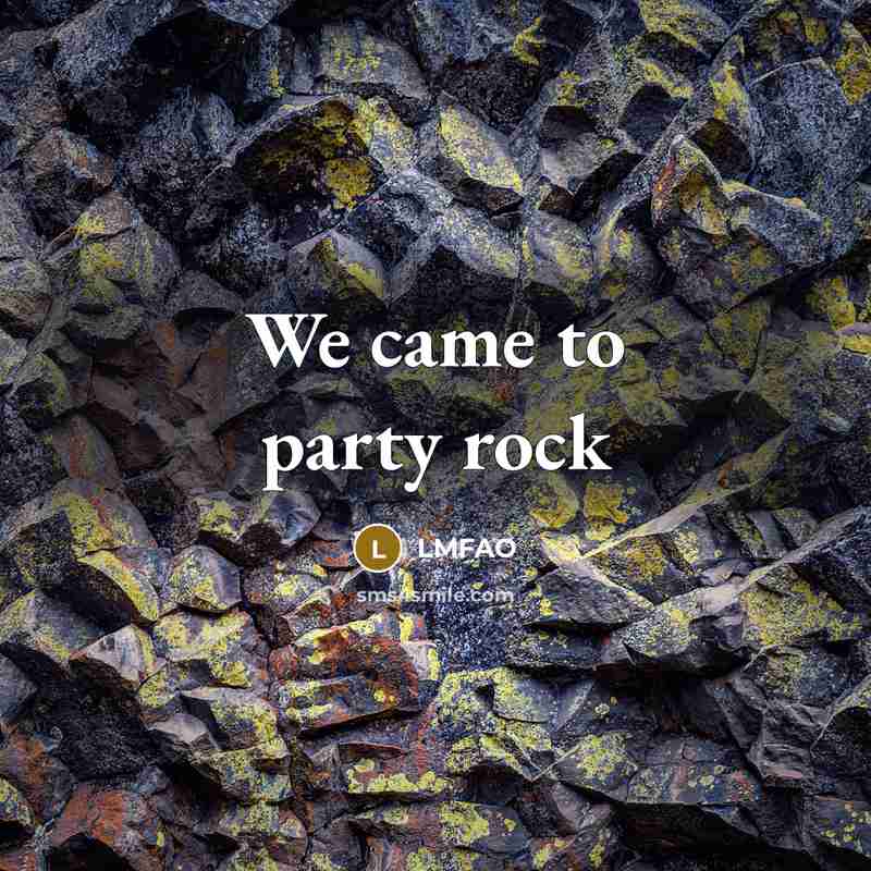“We came to party rock” quote by LMFAO
