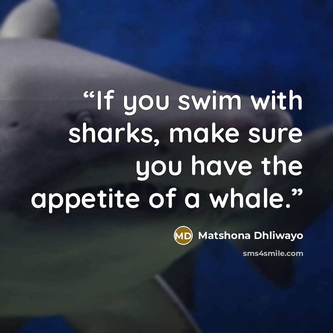 “If you swim with sharks, make sure you have the appetite of a whale.” quote by Matshona Dhliwayo