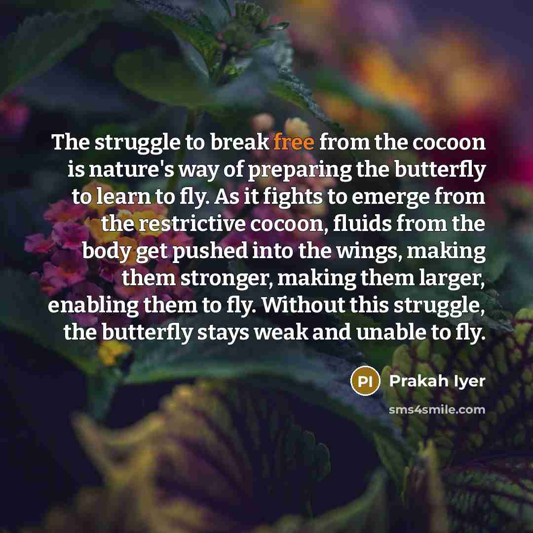 “The struggle to break free from the cocoon is nature's…” quote by Prakah Iyer