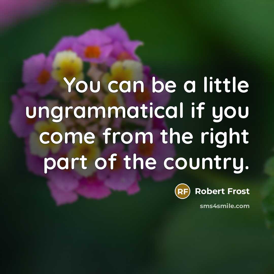 “You can be a little ungrammatical if you come from…” quote by Robert Frost