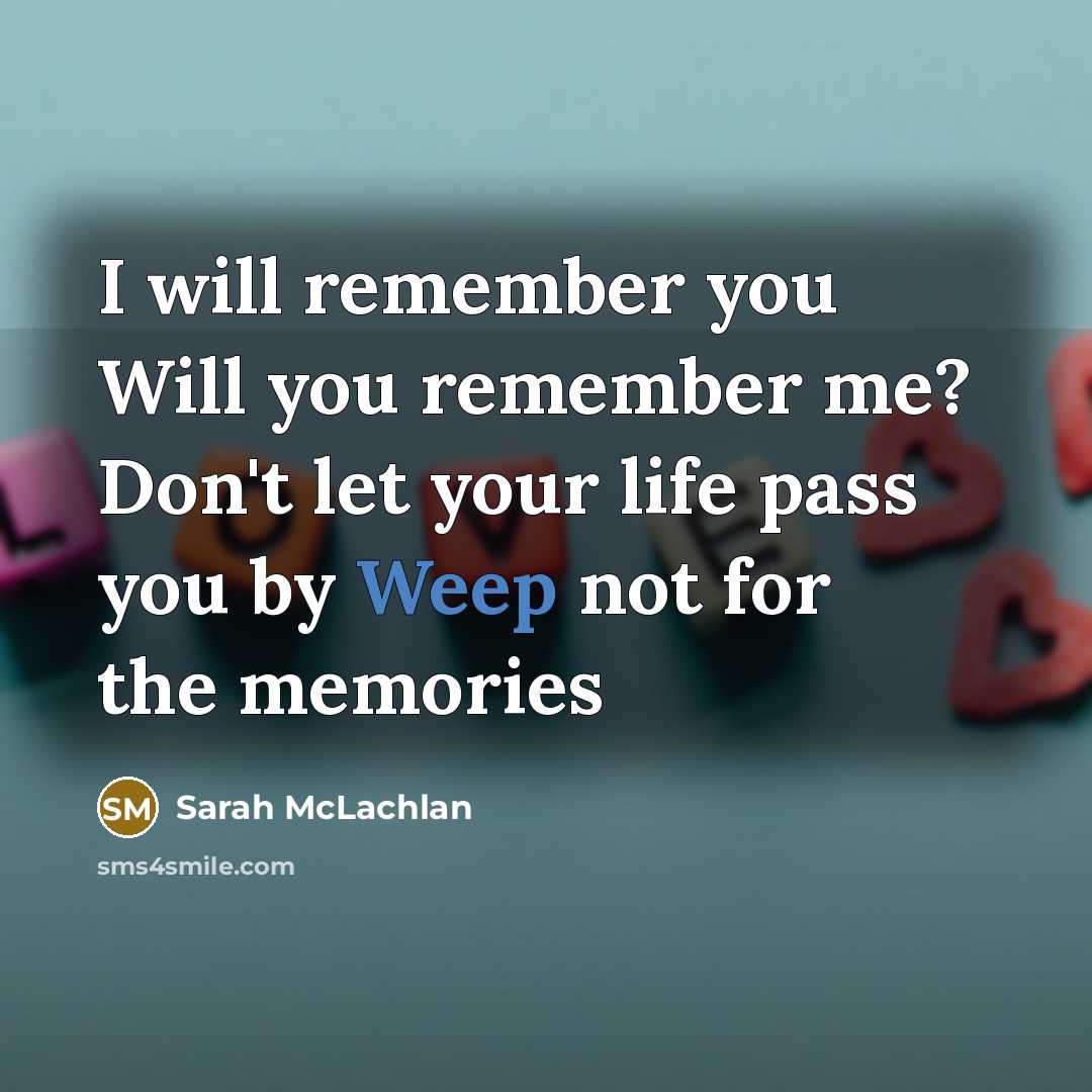 “I will remember you Will you remember me? Don't let…” quote by Sarah Mclachlan