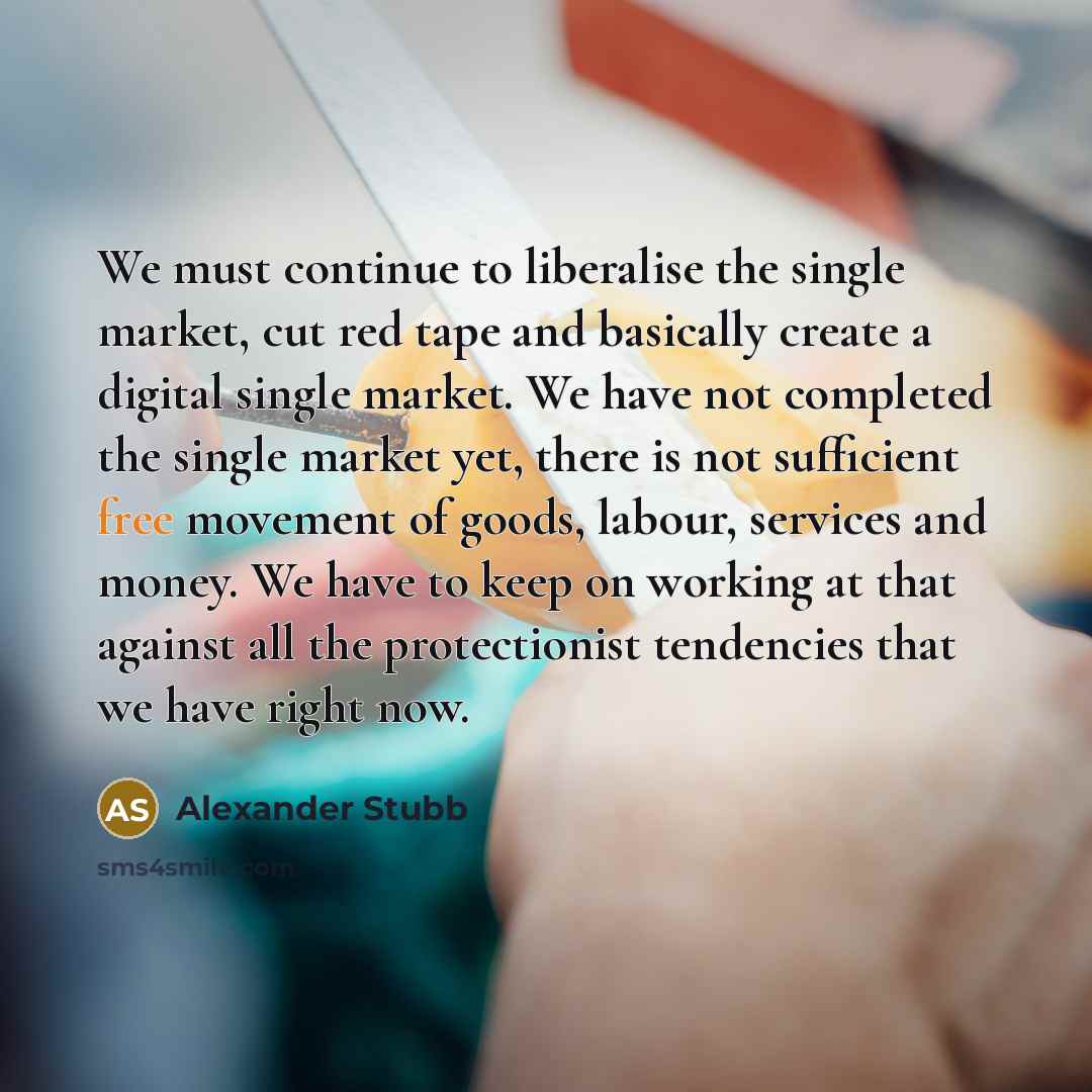 “We must continue to liberalise the single market, cut red…” quote by Alexander Stubb