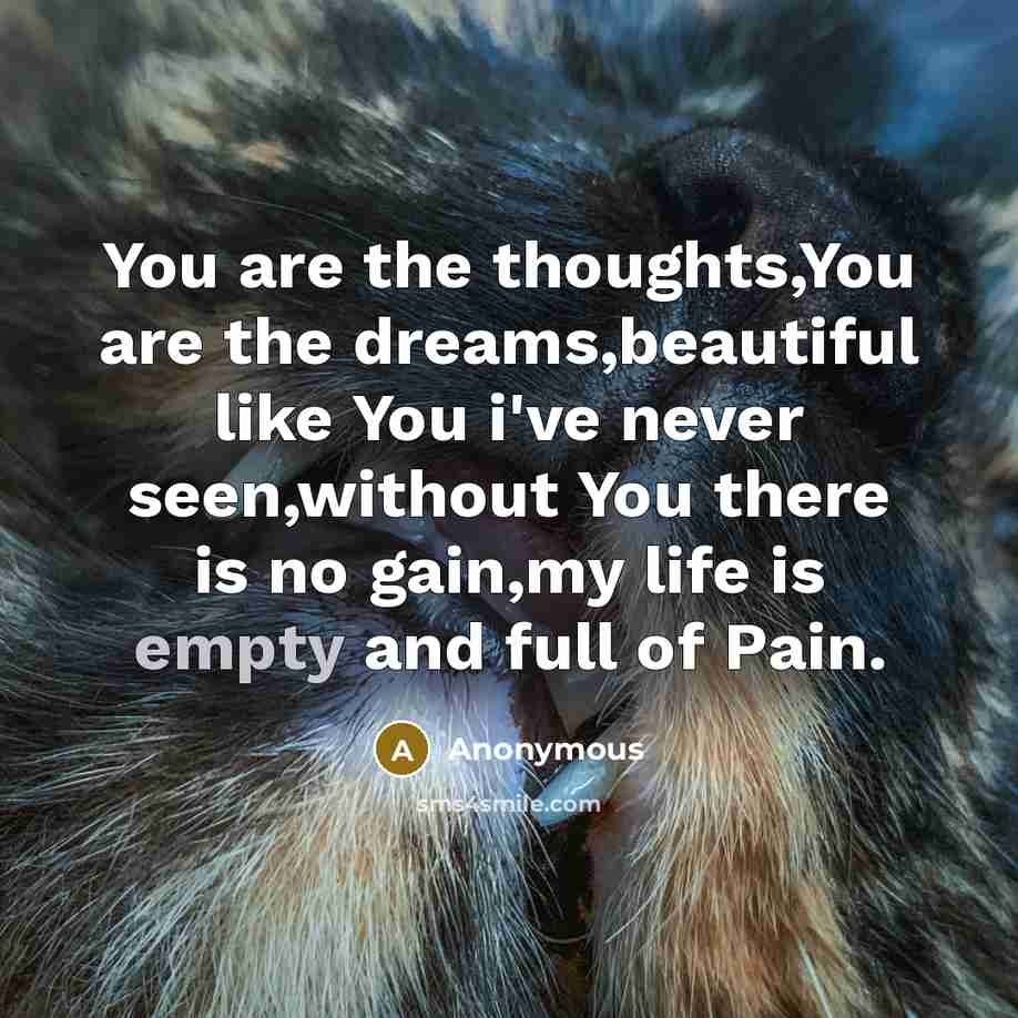 “You are the thoughts,You are the dreams,beautiful like You i've…” quote by Anonymous