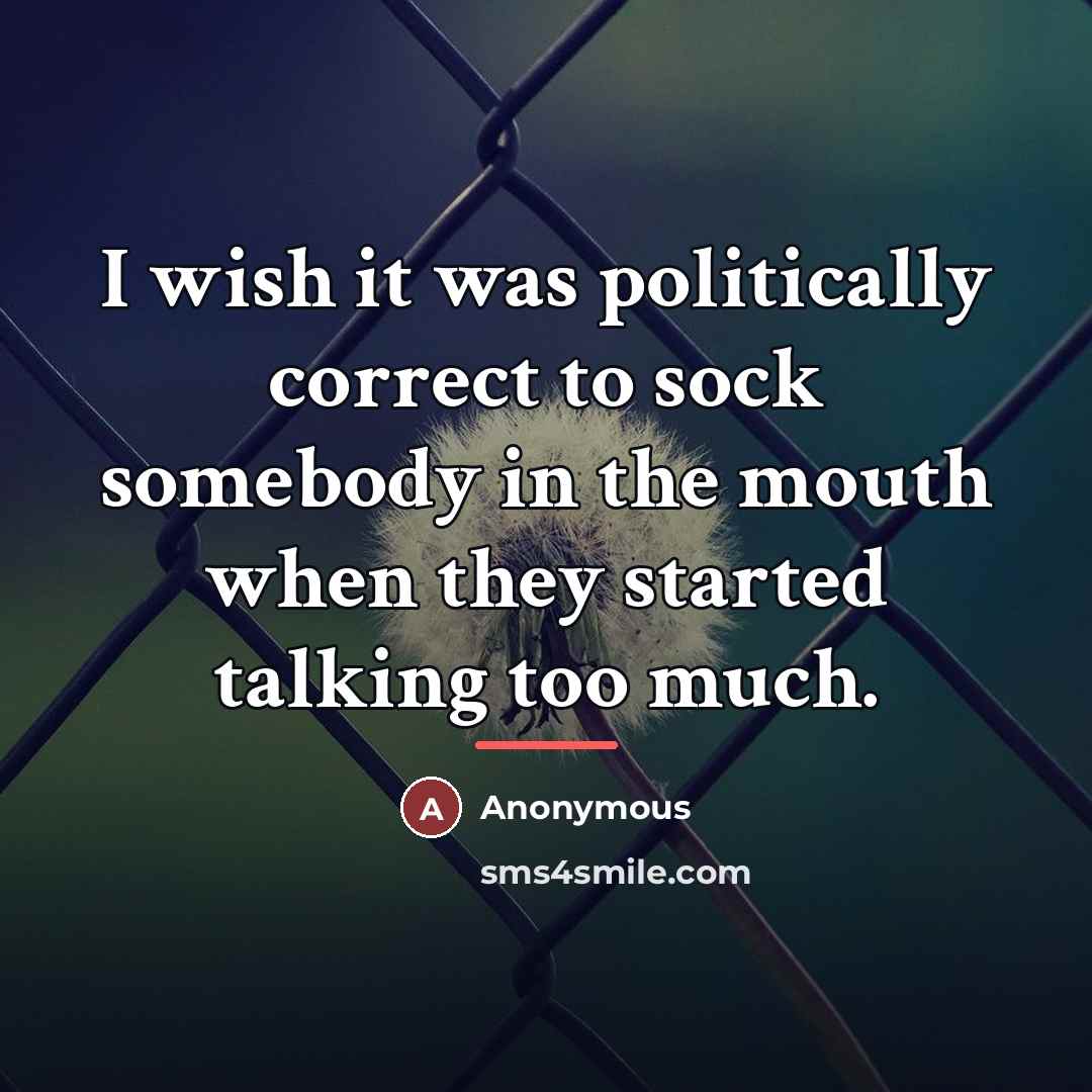 “I wish it was politically correct to sock somebody in…” quote by Anonymous