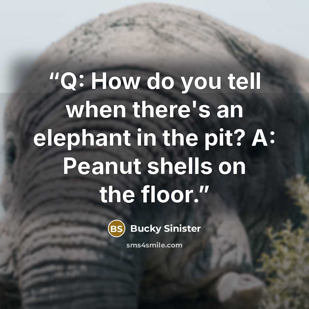 “Q: How do you tell when there's an elephant in the pit? A: Peanut shells on the floor.” quote by Bucky Sinister
