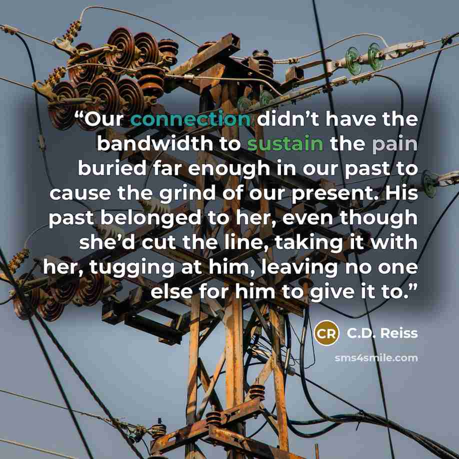 “Our connection didn’t have the bandwidth to sustain the pain buried far enough in our past to cause the grind of our present. His past belonged to her, even though she’d cut the line, taking it with her, tugging at him, leaving no one else for him to give it to.” quote by C.D. Reiss