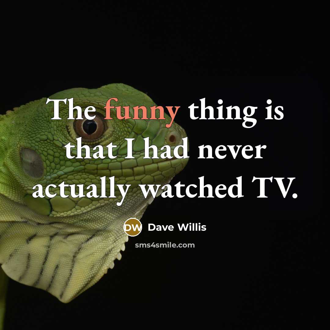 “The funny thing is that I had never actually watched…” quote by Dave Willis