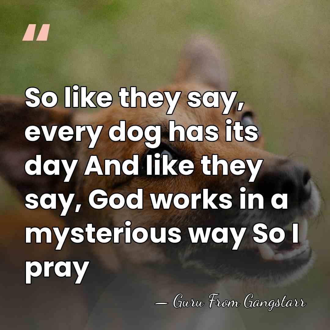 So like they say, every dog has its day And like they&hellip; - Guru From Gangstarr