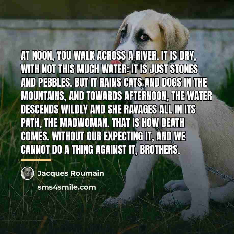 “At noon, you walk across a river. It is dry,…” quote by Jacques Roumain
