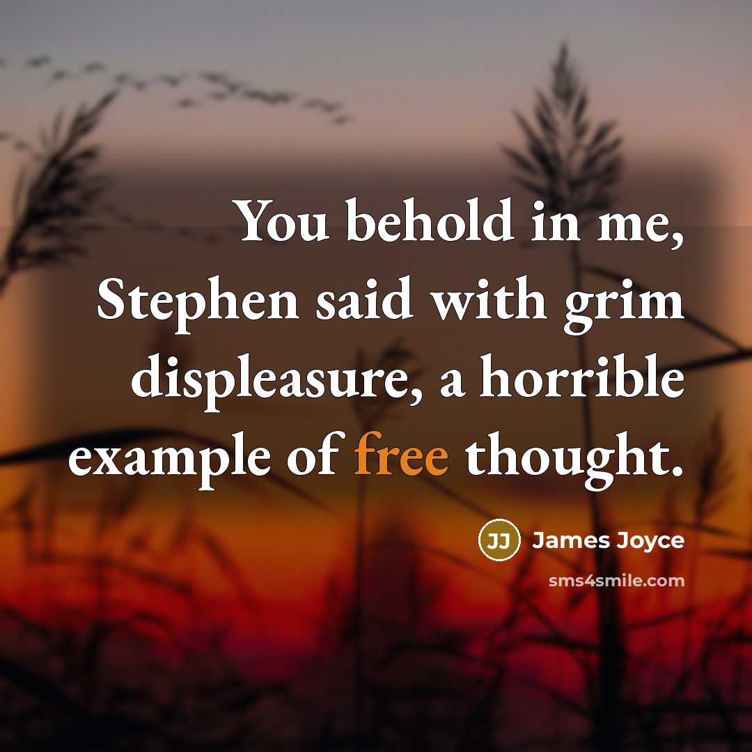 “You behold in me, Stephen said with grim displeasure, a…” quote by James Joyce