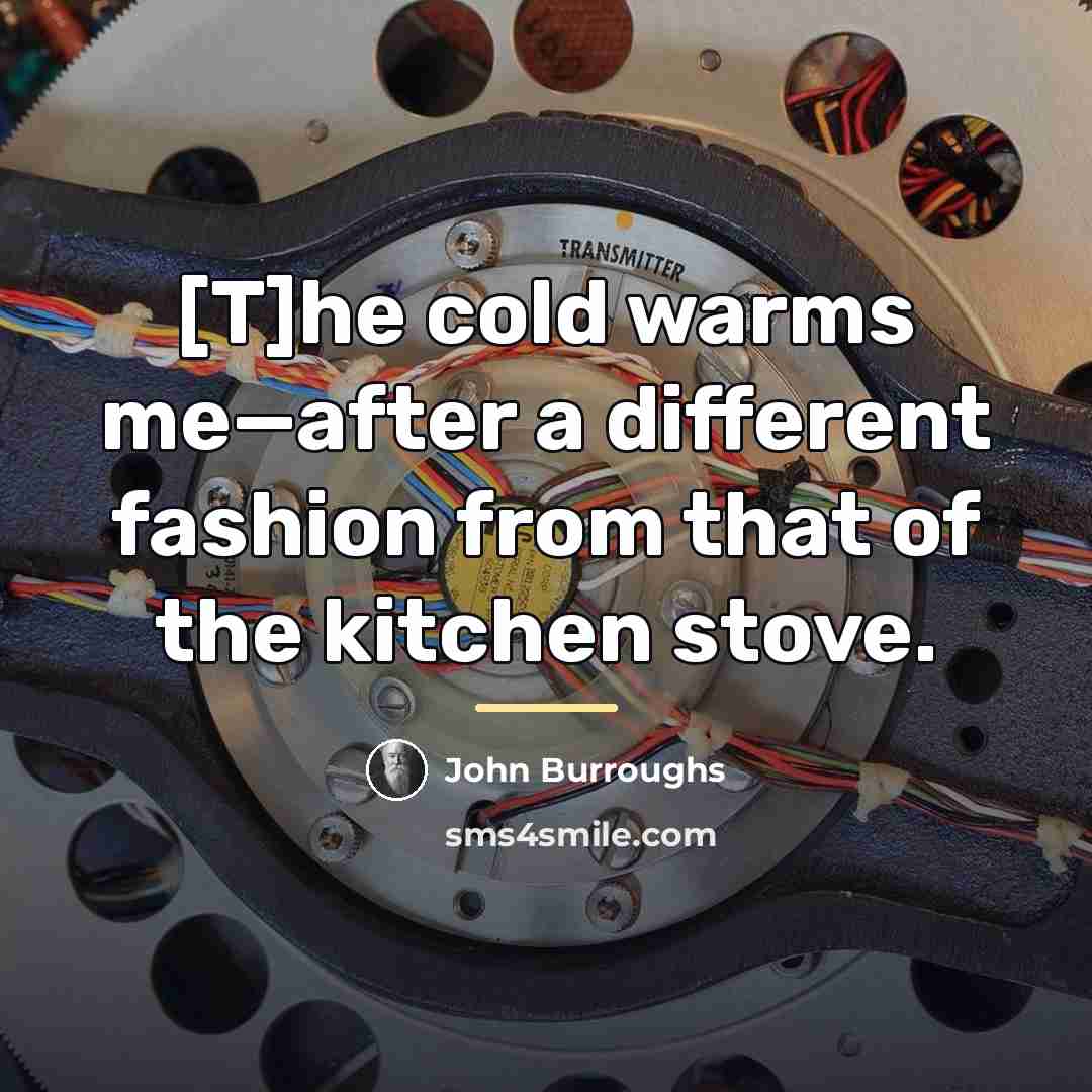 “[T]he cold warms me—after a different fashion from that of…” quote by John Burroughs