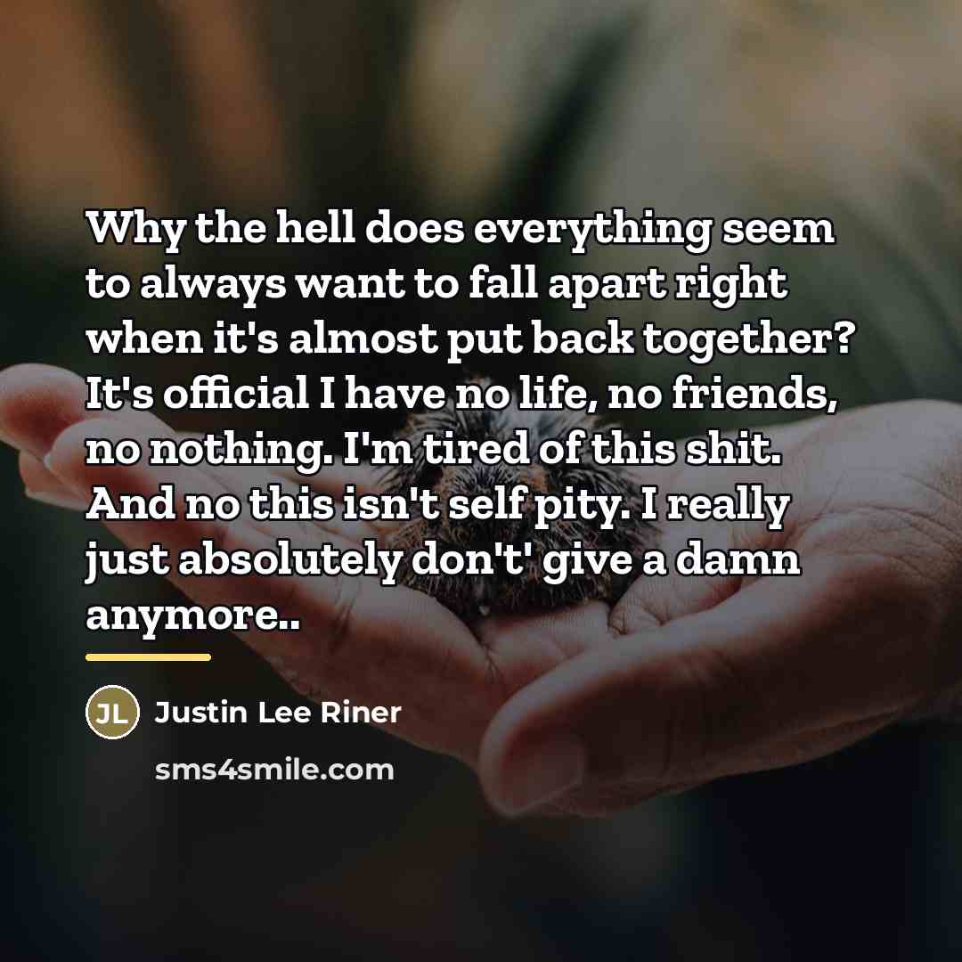 “Why the hell does everything seem to always want to…” quote by Justin Lee Riner