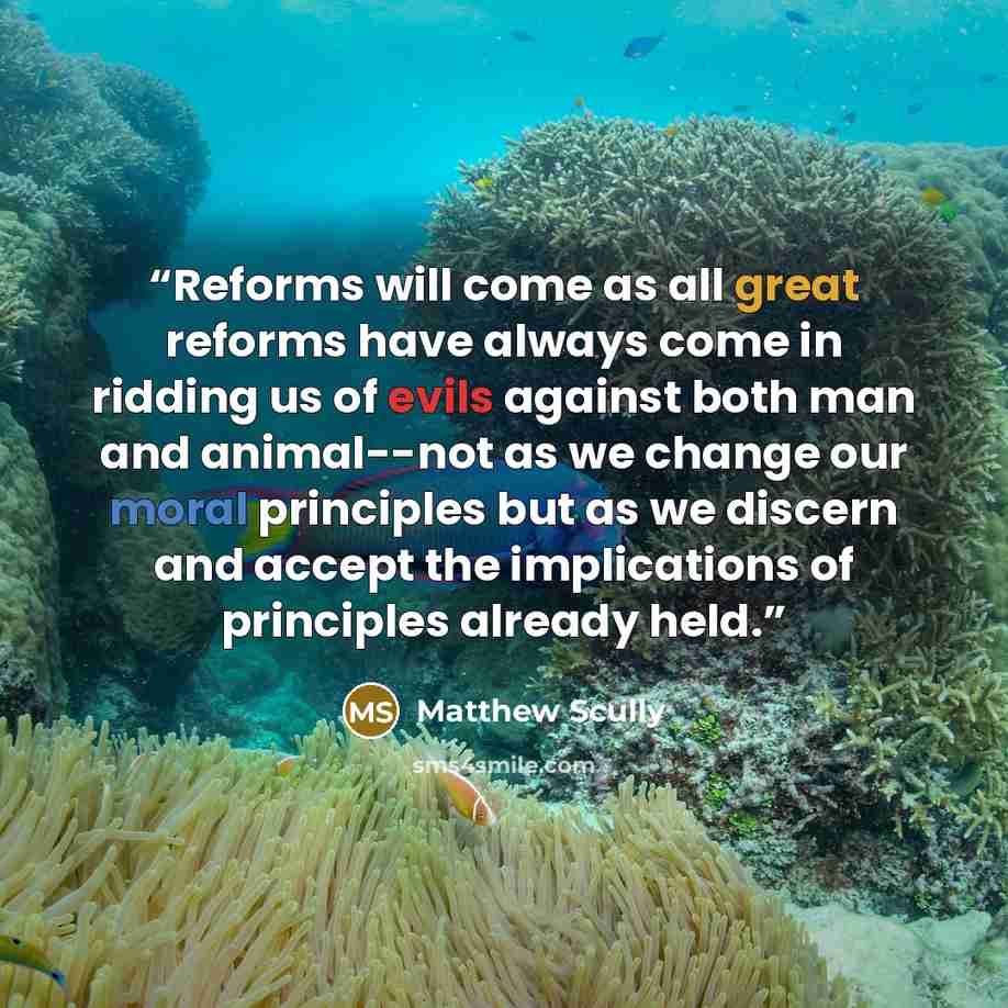 “Reforms will come as all great reforms have always come in ridding us of evils against both man and animal--not as we change our moral principles but as we discern and accept the implications of principles already held.” quote by Matthew Scully