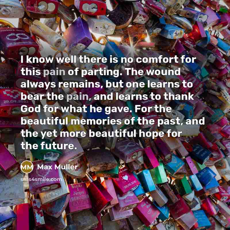 “I know well there is no comfort for this pain…” quote by Max Muller