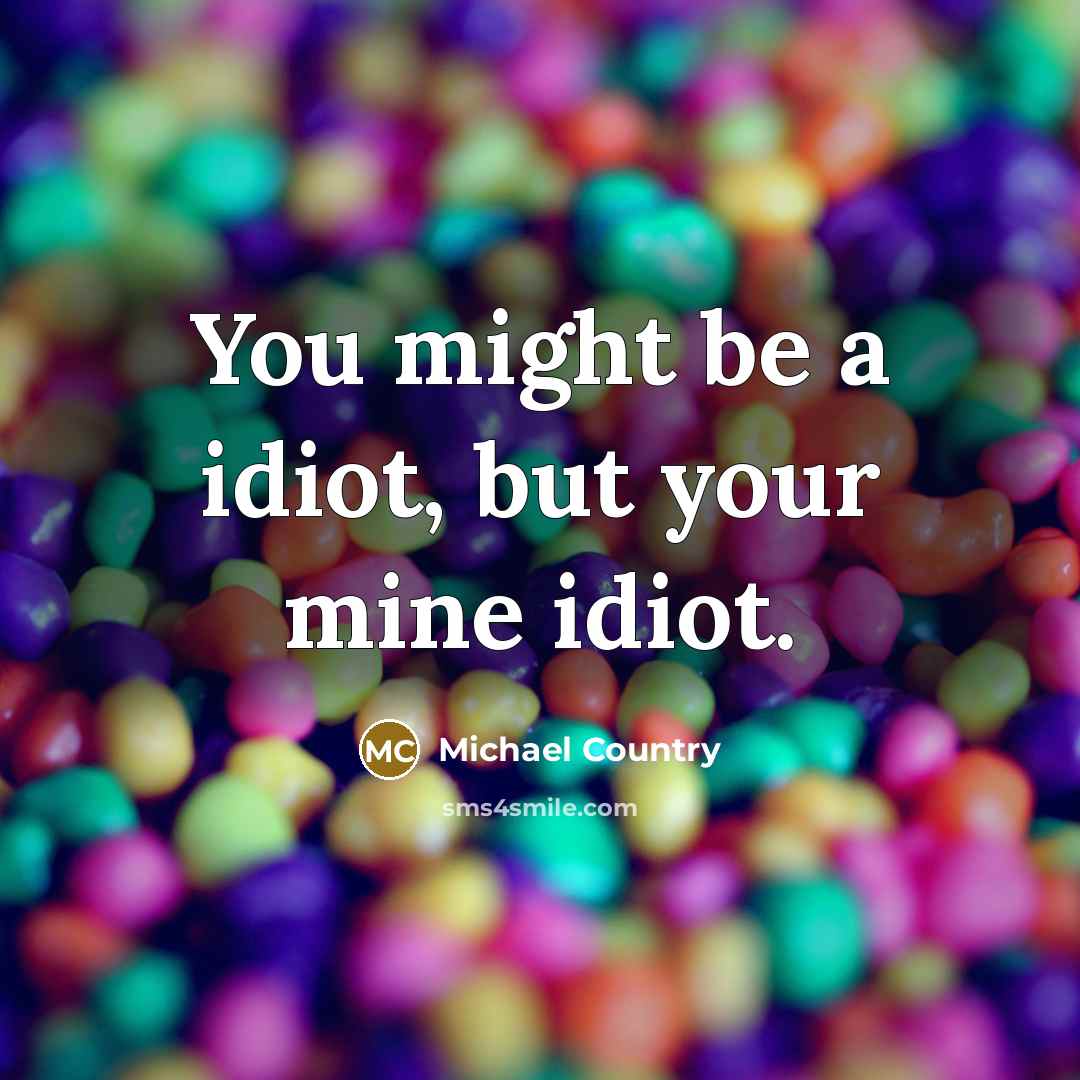 “You might be a idiot, but your mine idiot.…” quote by Michael Country
